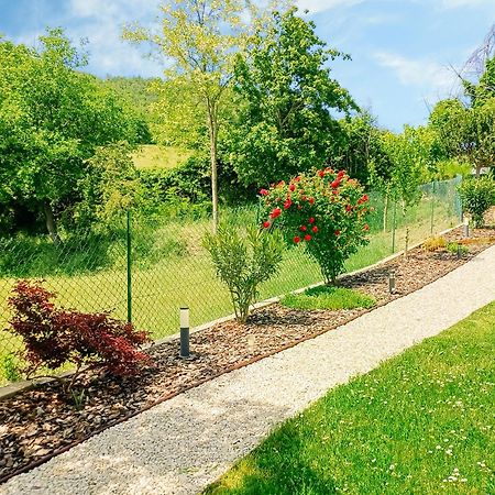 Willa Il Tuo Casale Tra Le Colline - Marche House Venarotta Zewnętrze zdjęcie